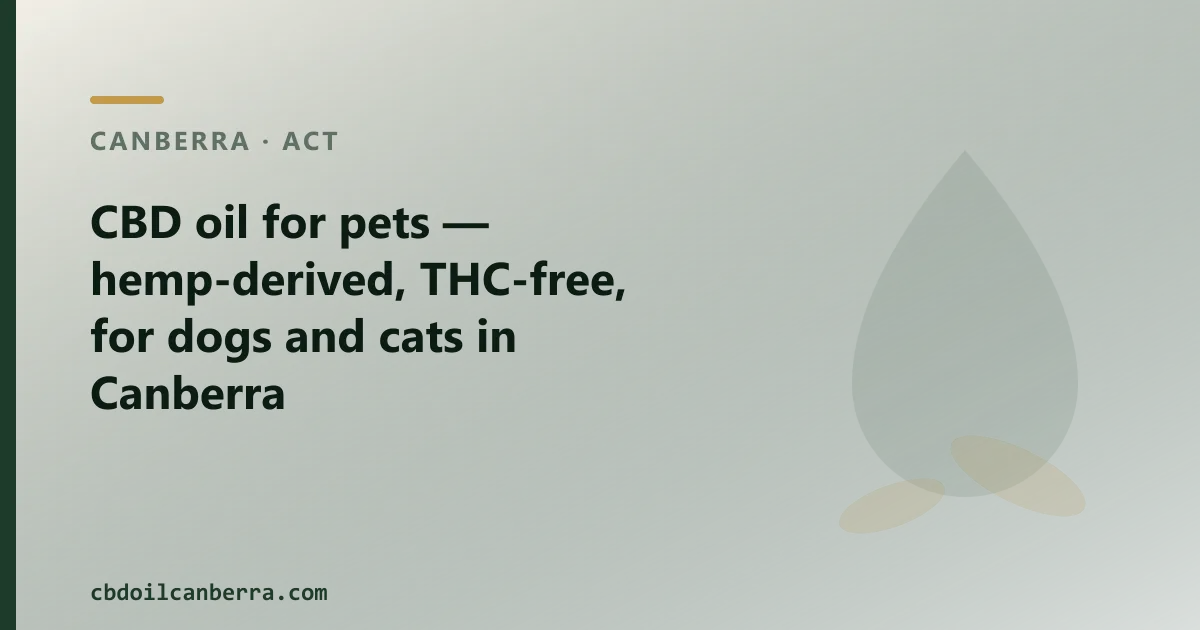 CBD oil for pets: what it is and where to buy it in Canberra